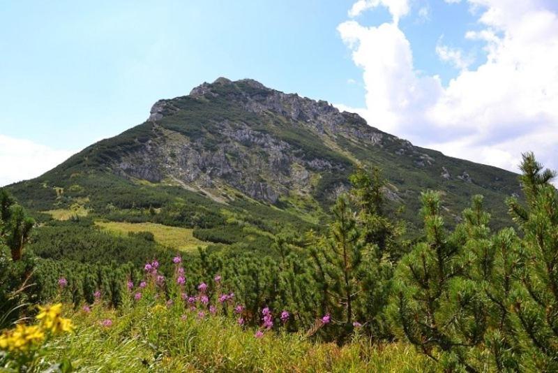 Penzion Kamzik A Drevenica Habówka Zewnętrze zdjęcie